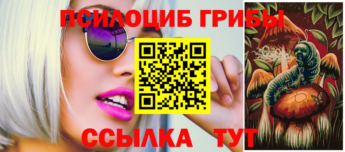 Псилоцибиновые грибы MAGIC MUSHROOMS Будённовск