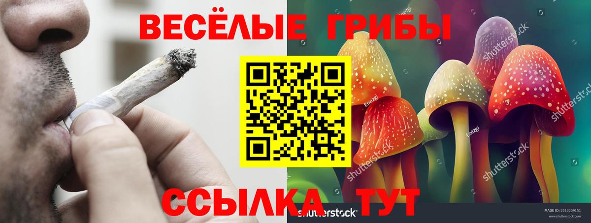 Псилоцибиновые грибы ЛСД  купить наркотик  Будённовск  Вход с VPN  Галлюциногенные грибы прущие грибы 